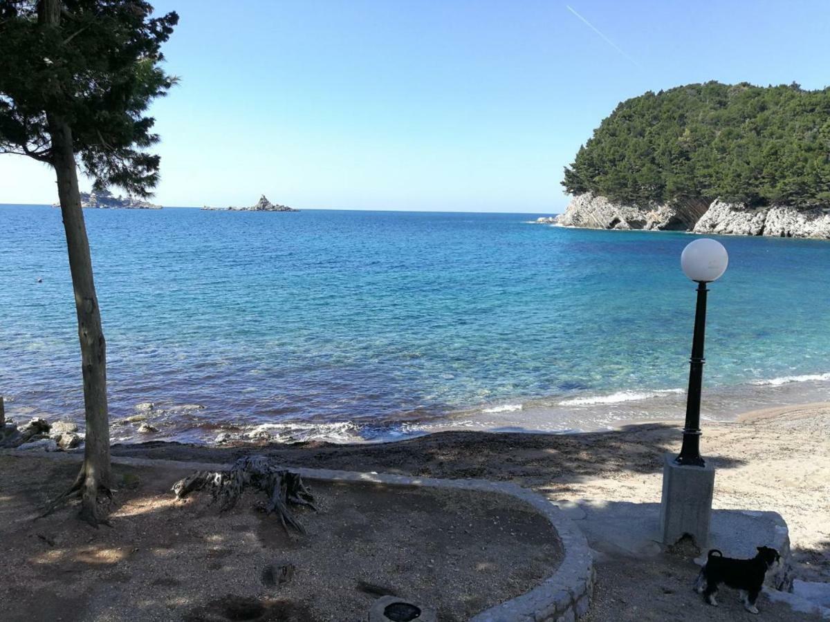 Montenegro Sea Pearl Apartments Petrovac Exteriör bild